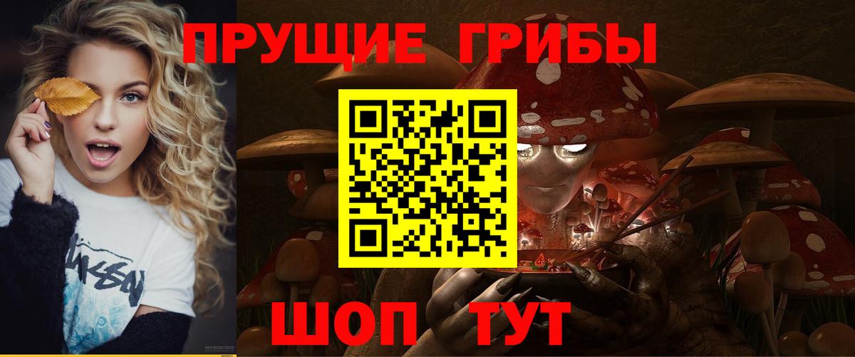 наркотики  Псилоцибиновые грибы Psilocybe  Можайск  Вход с VPN  Галлюциногенные грибы мухоморы 